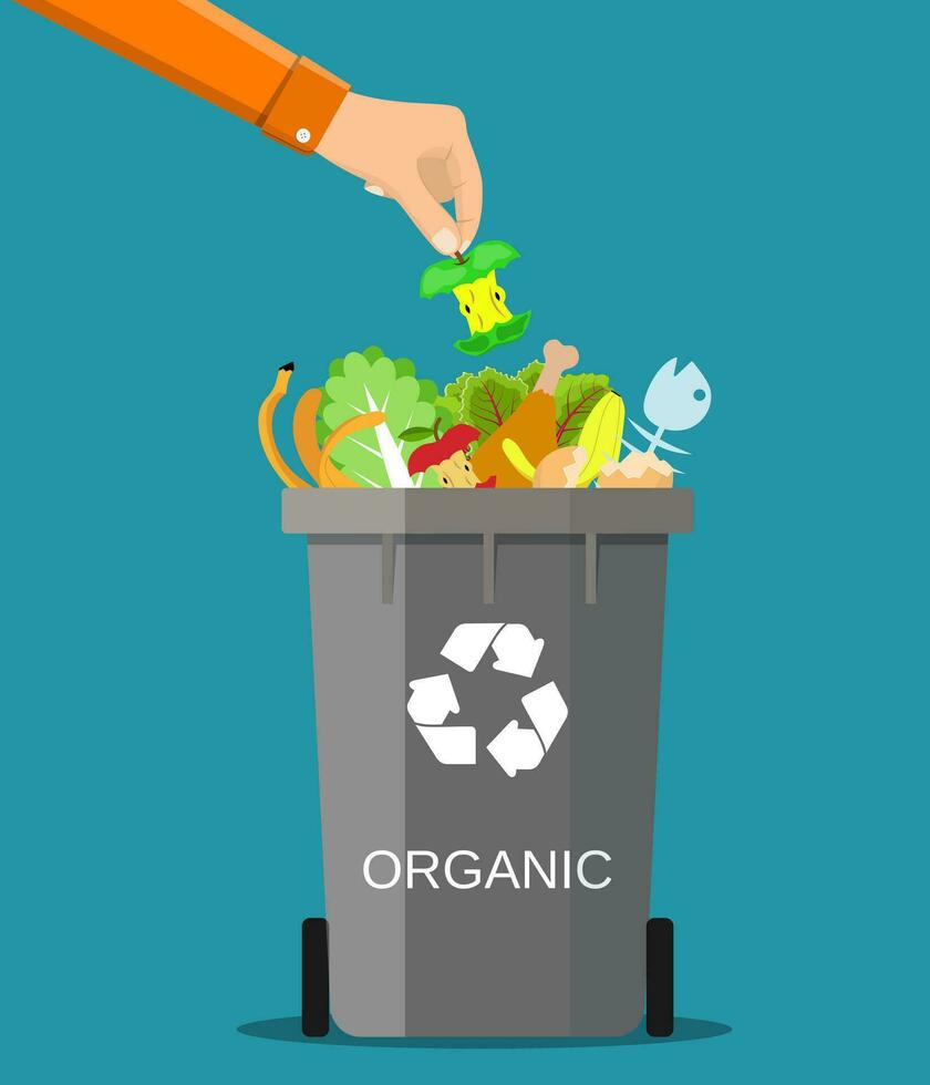 man hand throws garbage into a organic container vector