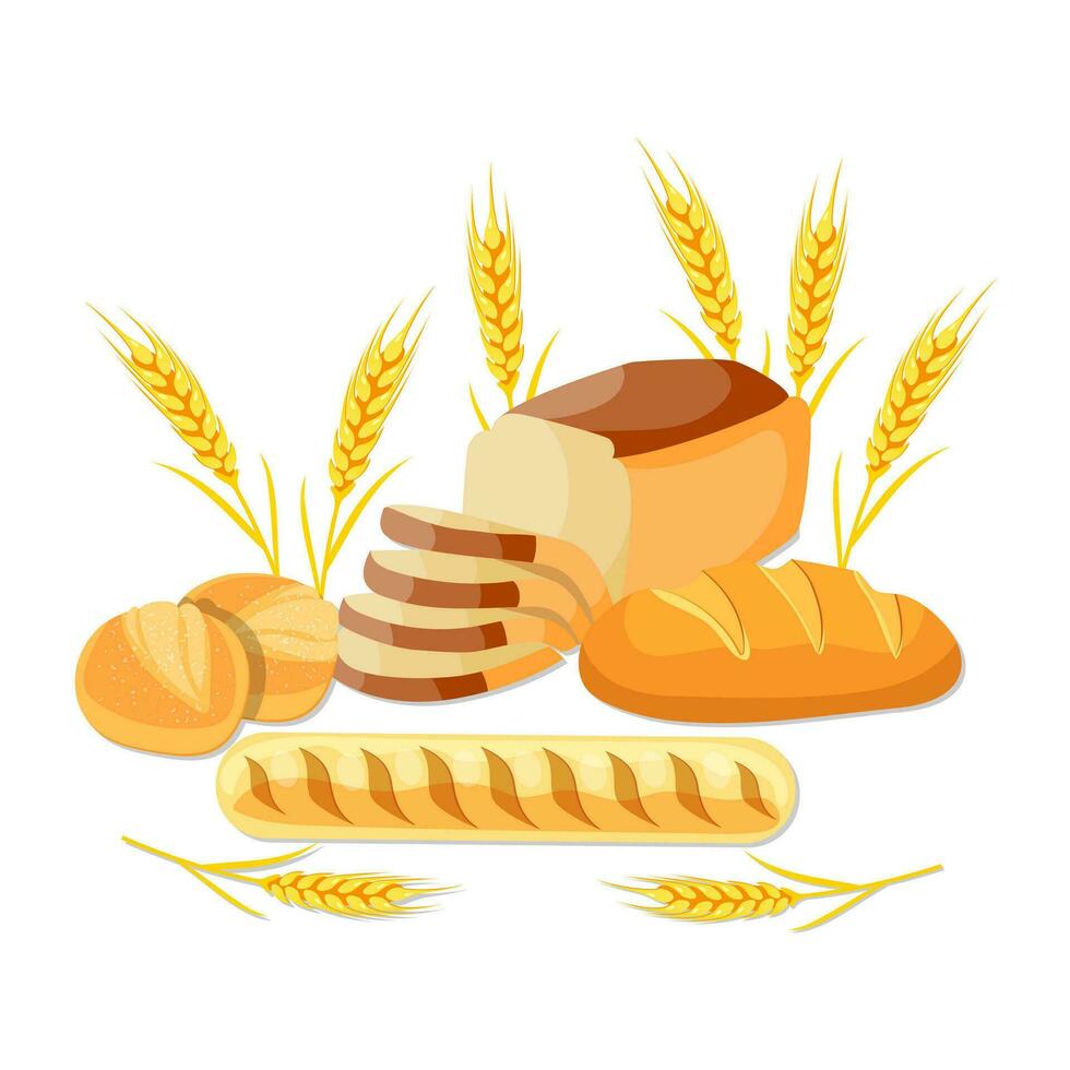 Whole wheat bread vector