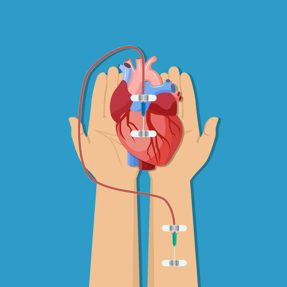 Blood donation concept. vector
