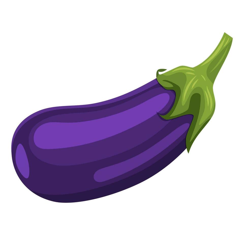 Fresh Eggplant vegetable vector