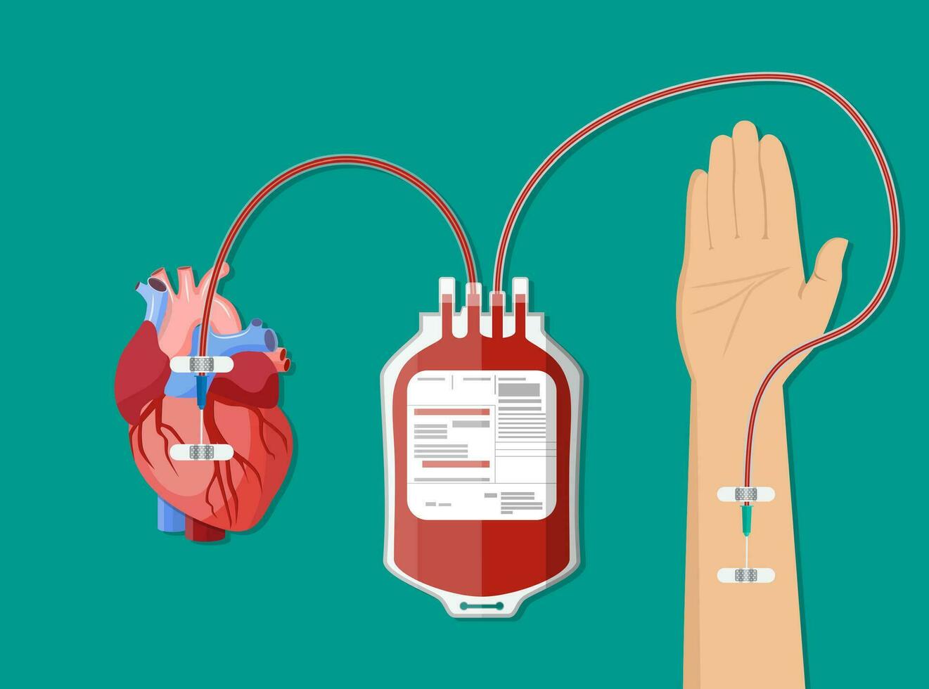 Blood bag and hand of donor with heart. vector