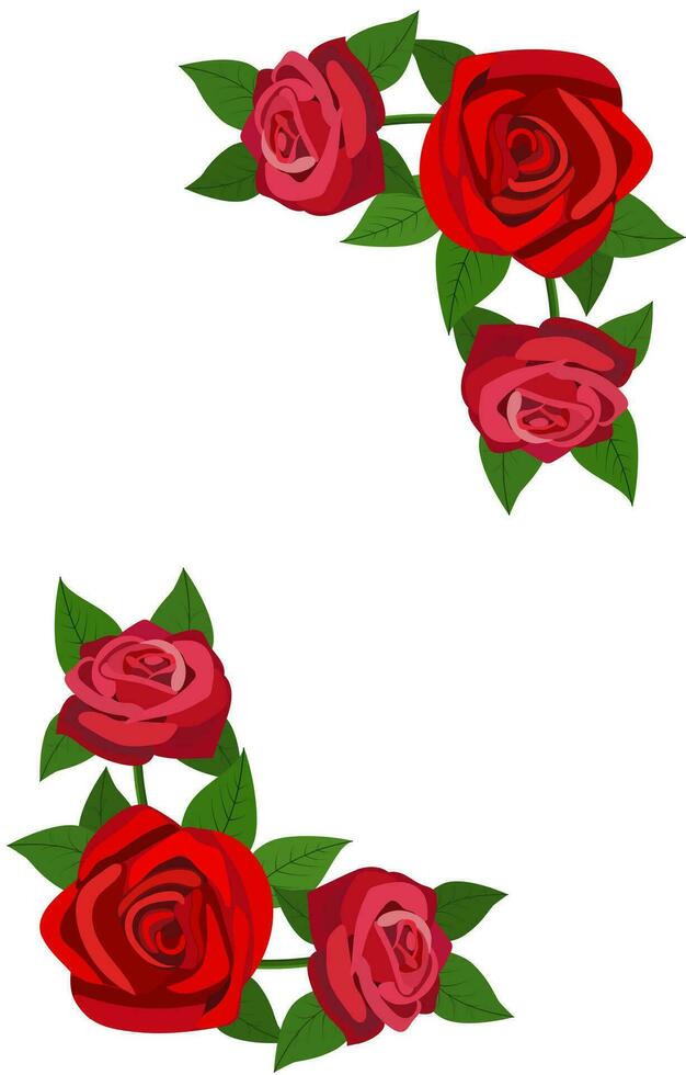 red roses with leaves isolated on a white background vector