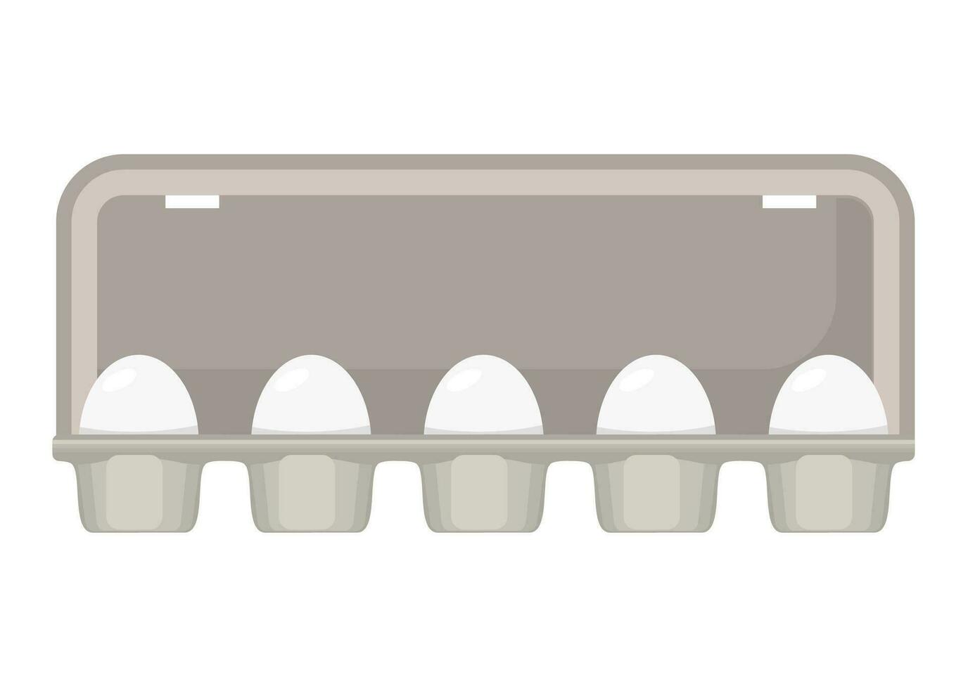 egg box with white fresh chicken eggs. vector