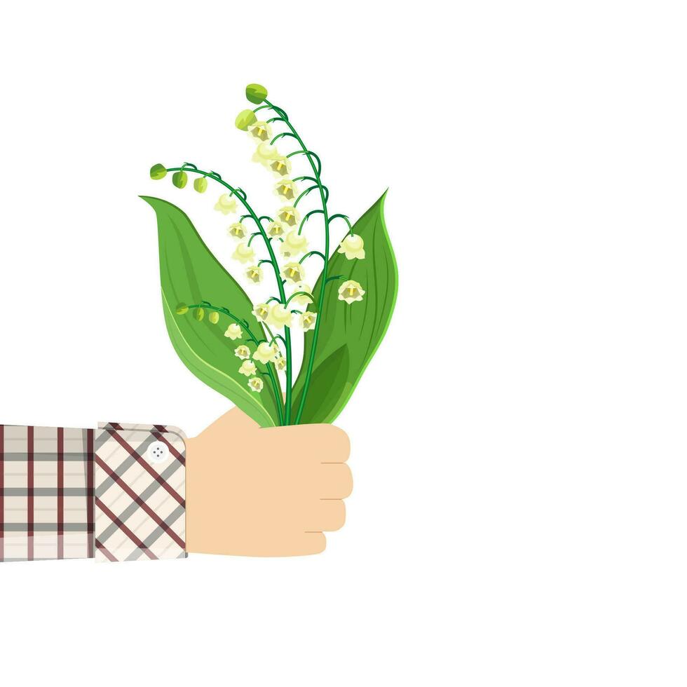 Man holding in hand Lily Of The Valley vector
