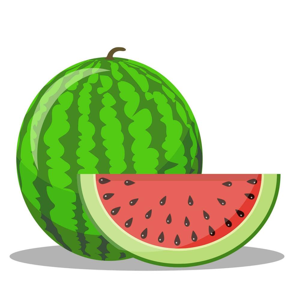 Watermelon and red slice with black seeds. vector