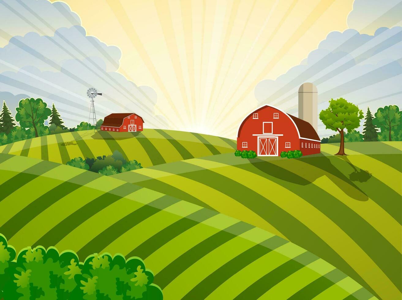 Cartoon farm green seeding field, vector