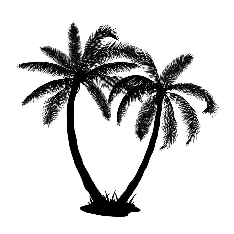un palma árbol siluetas vector