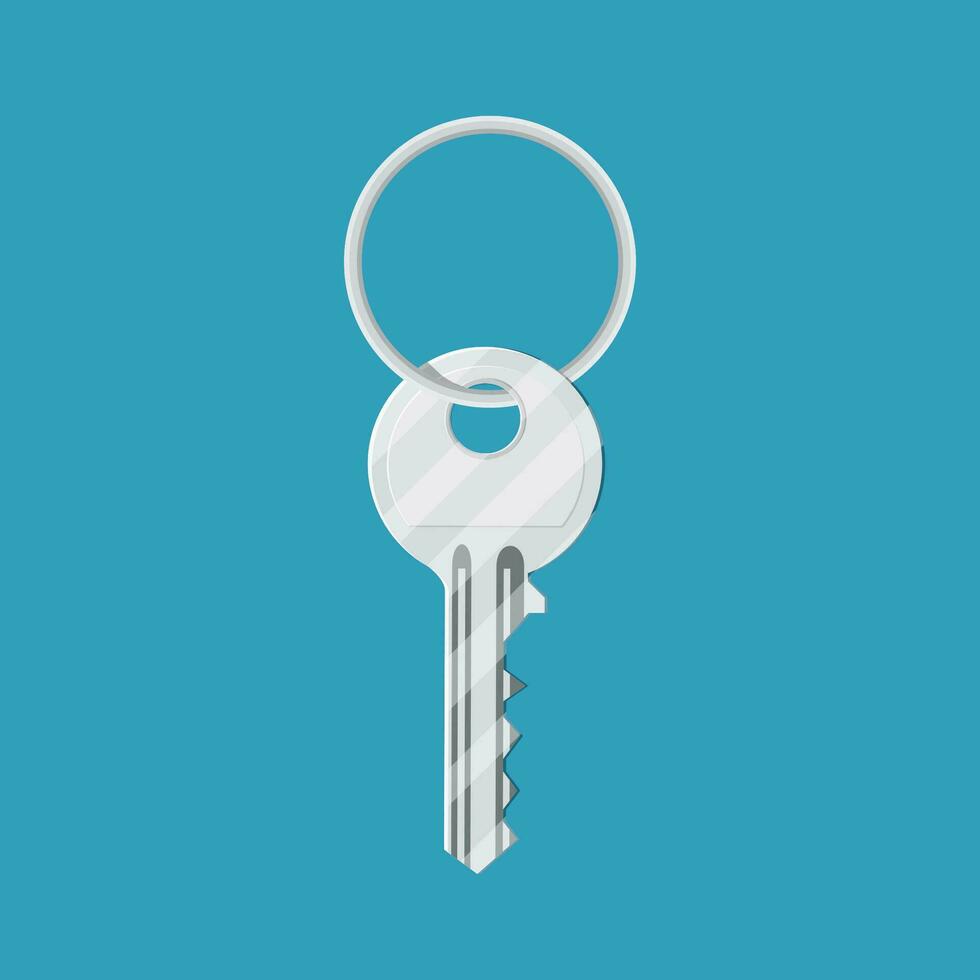 Metal key with ring vector
