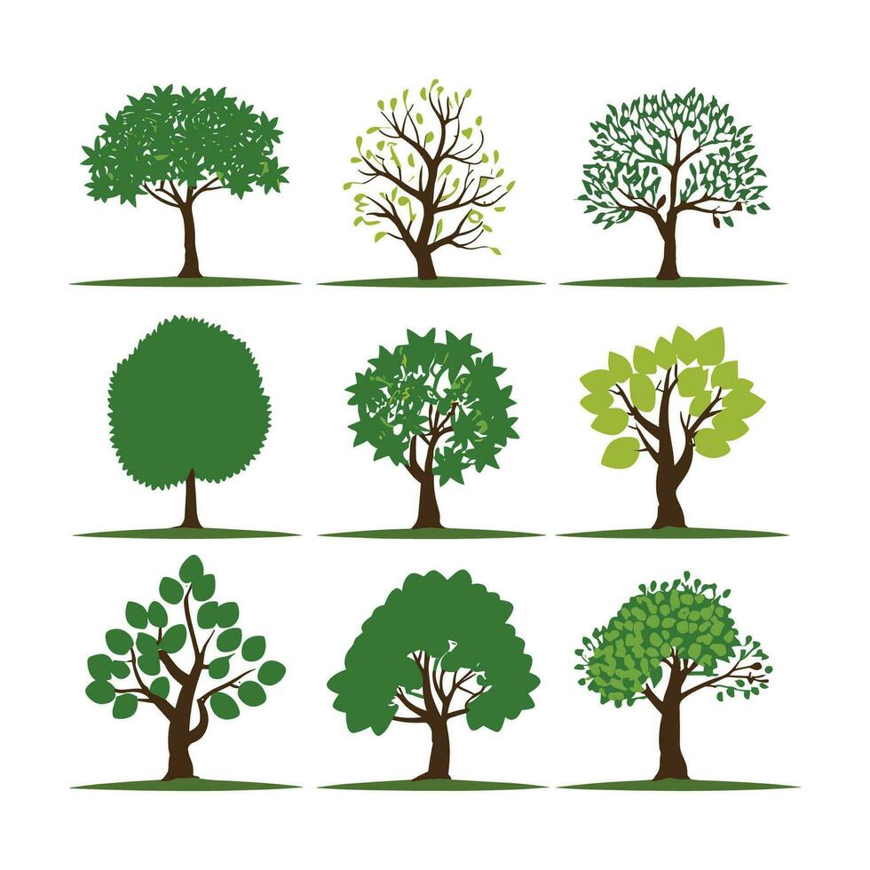 silhouette tree line drawing set, Side view, set of graphics trees elements outline symbol for architecture and landscape design drawing. Vector illustration in stroke fill in white. Tropical