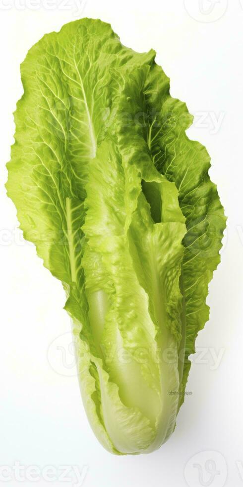 AI generated Lettuce isolated on white background. AI Generated photo