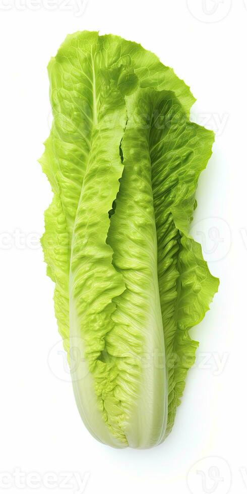 AI generated Lettuce isolated on white background. AI Generated photo