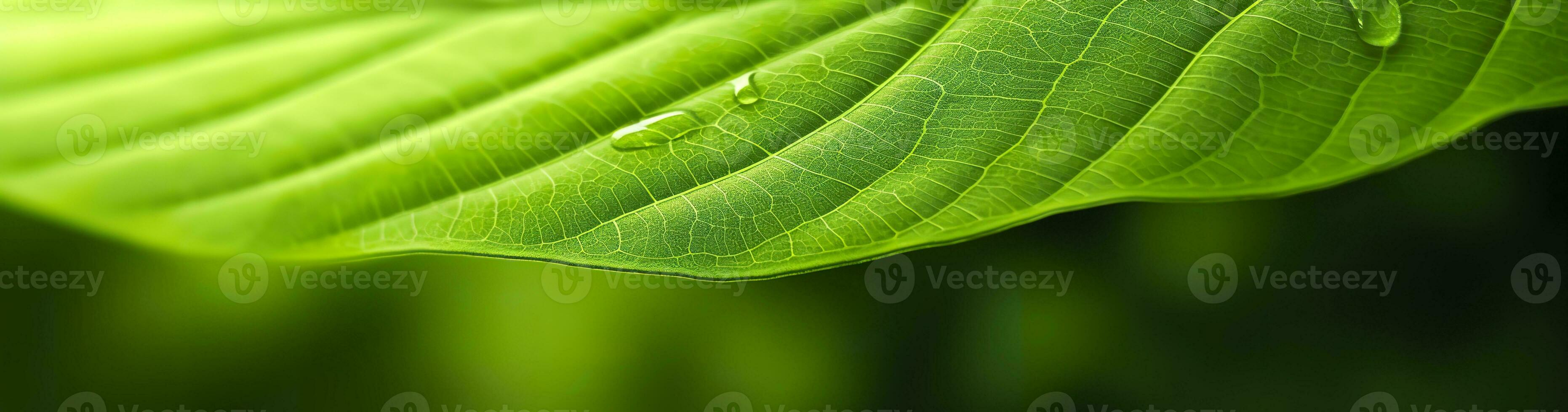 AI generated Green leaf nature background. AI Generated photo