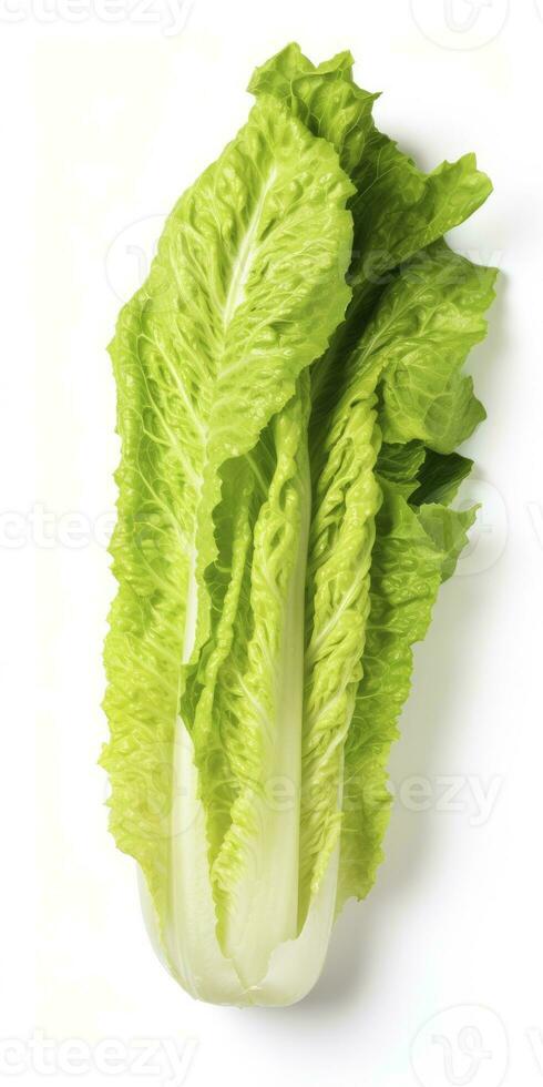 AI generated Lettuce isolated on white background. AI Generated photo