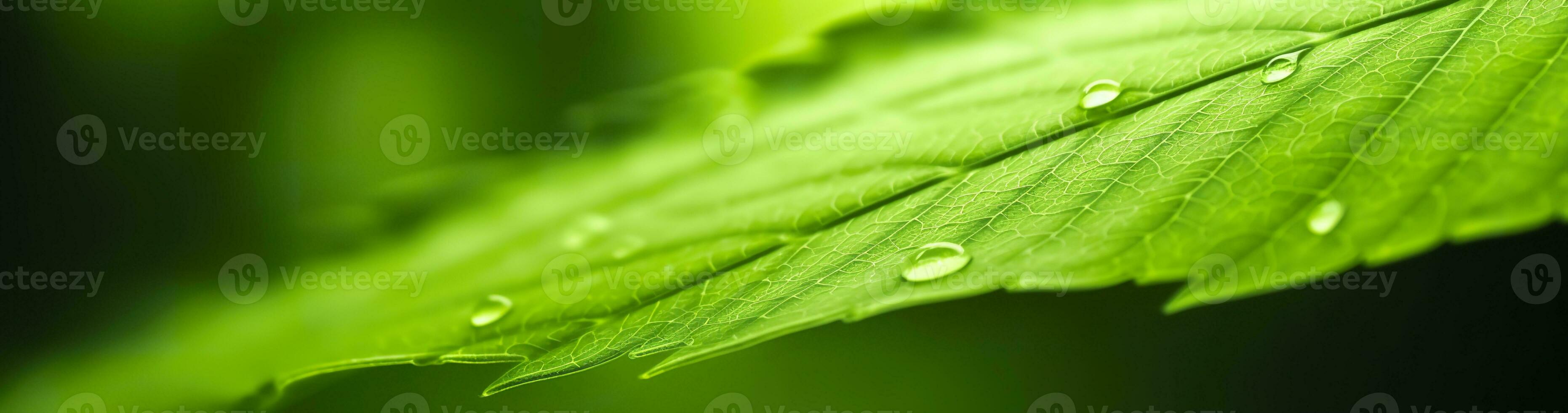 AI generated Green leaf nature background. AI Generated photo