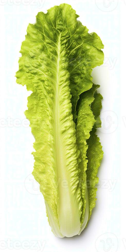 AI generated Lettuce isolated on white background. AI Generated photo