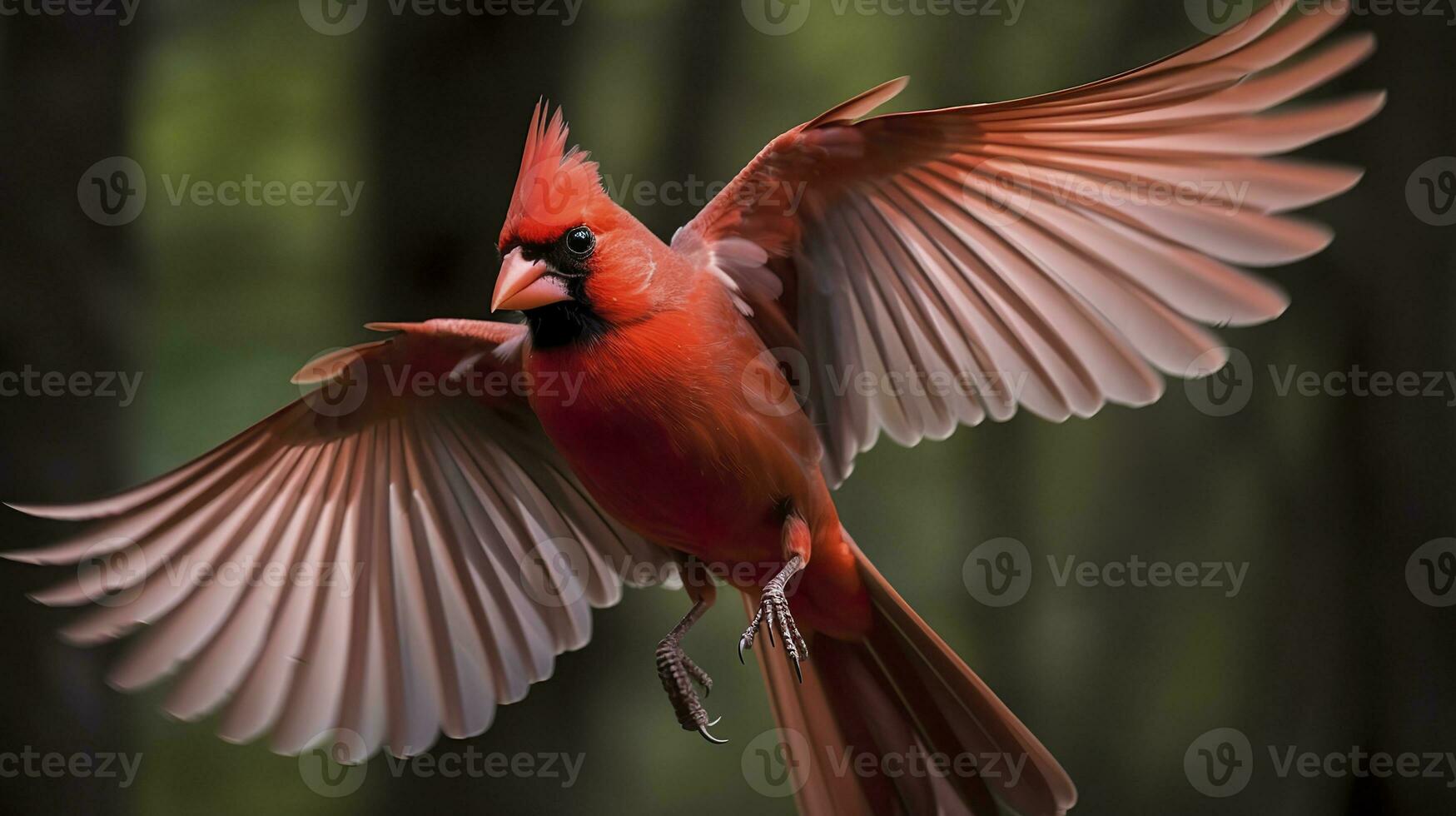 AI generated Northern Cardinal coming in for a landing. Generative AI photo