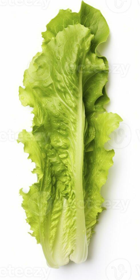 AI generated Lettuce isolated on white background. AI Generated photo