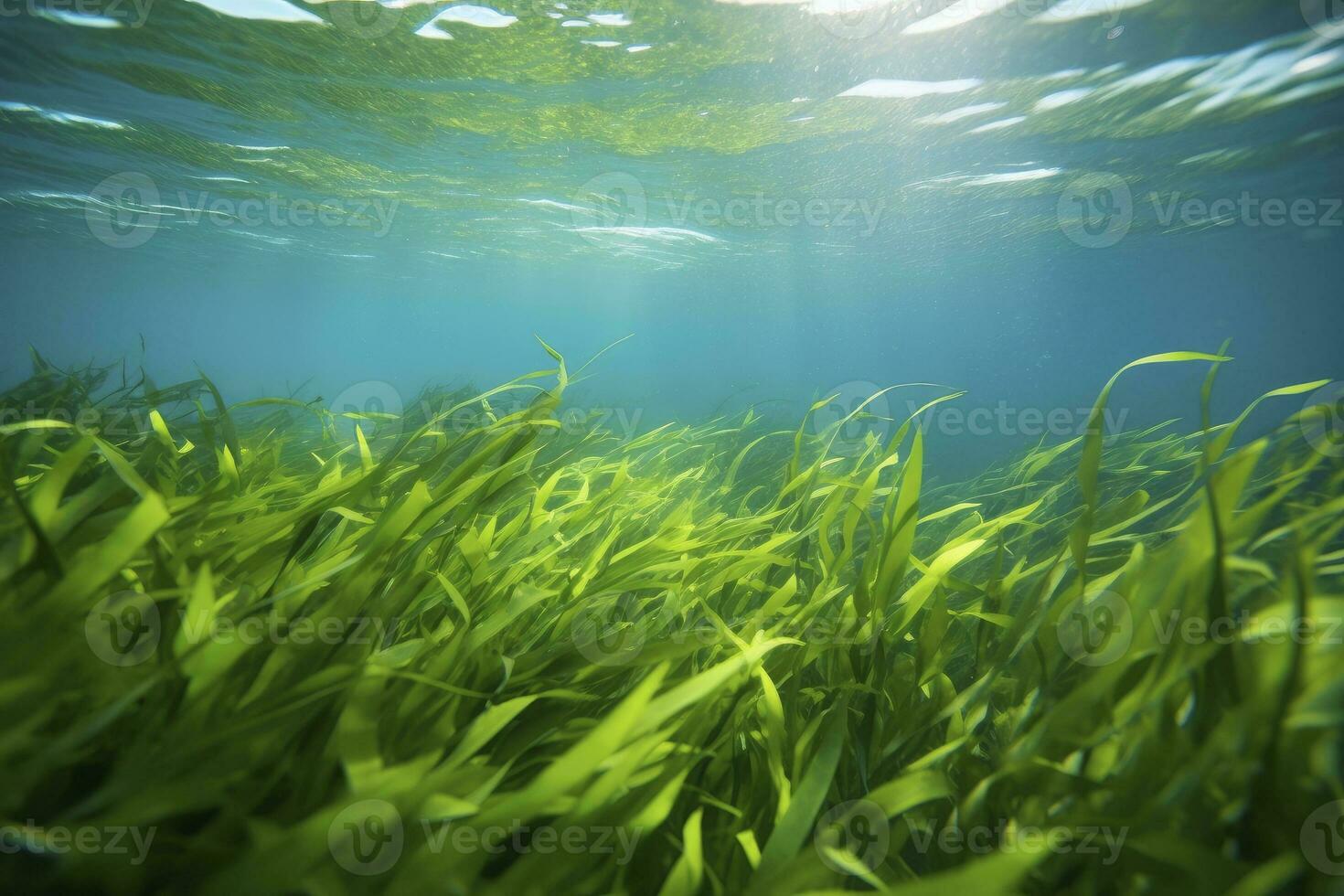 AI generated Underwater view of a group of seabed with green seagrass. AI Generated photo