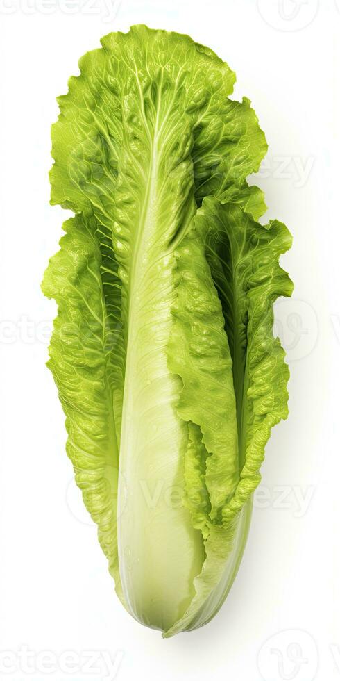 AI generated Lettuce isolated on white background. AI Generated photo