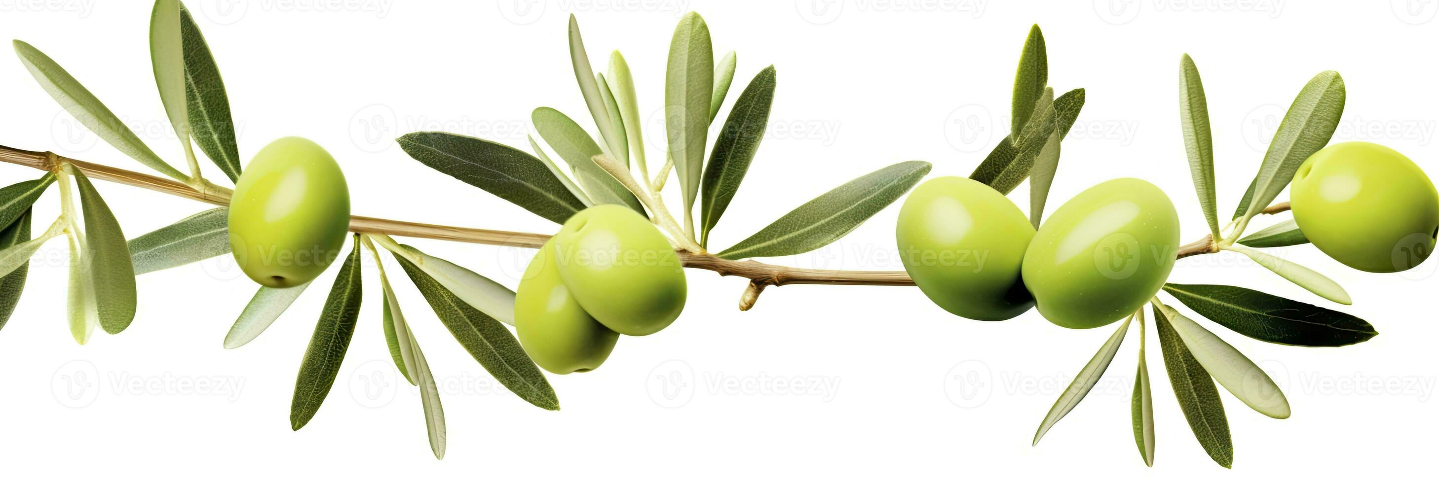 AI generated Olive tree branch, green olives and leaves on white background. AI Generated. photo