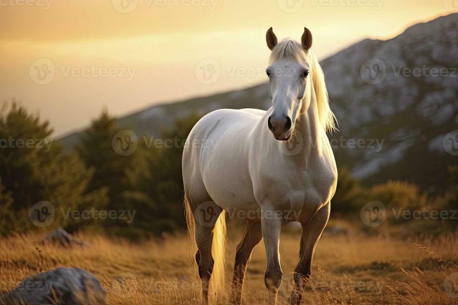 AI generated White horse or mare in the mountains at sunset. AI Generated photo