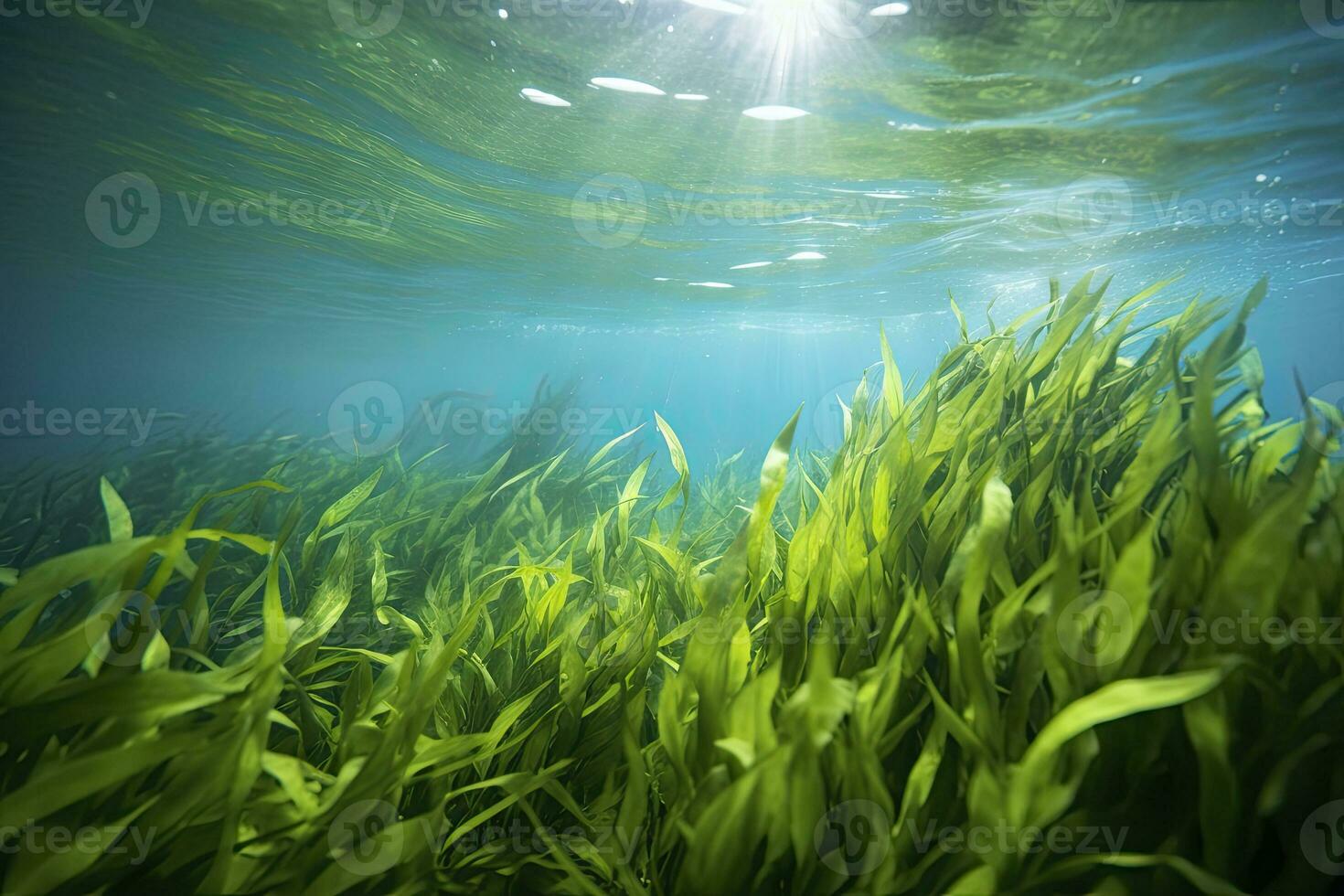 AI generated Underwater view of a group of seabed with green seagrass. AI Generated photo