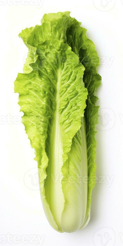 AI generated Lettuce isolated on white background. AI Generated photo