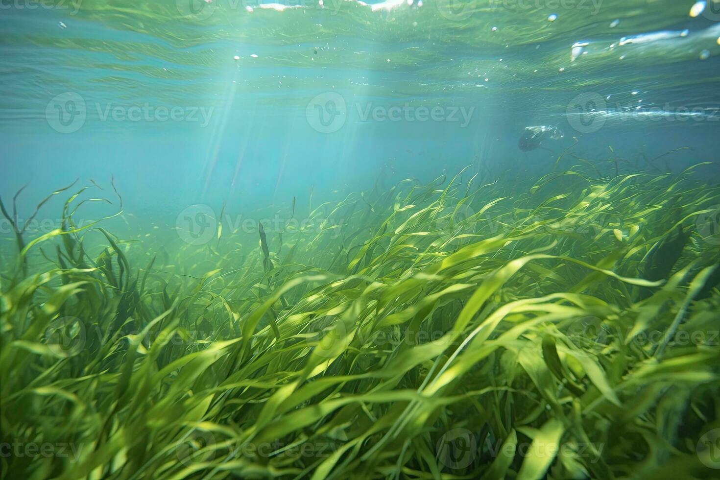 AI generated Underwater view of a group of seabed with green seagrass. AI Generated photo