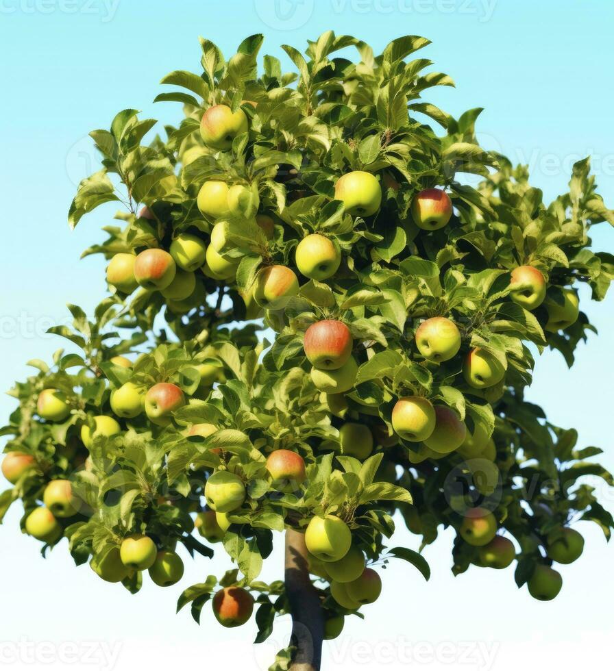 AI generated A beautiful green apple tree. AI Generated photo