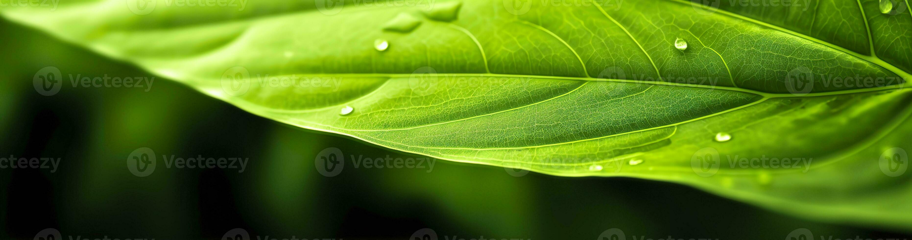 AI generated Green leaf nature background. AI Generated photo