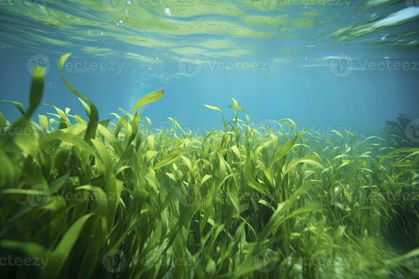 AI generated Underwater view of a group of seabed with green seagrass. AI Generated photo
