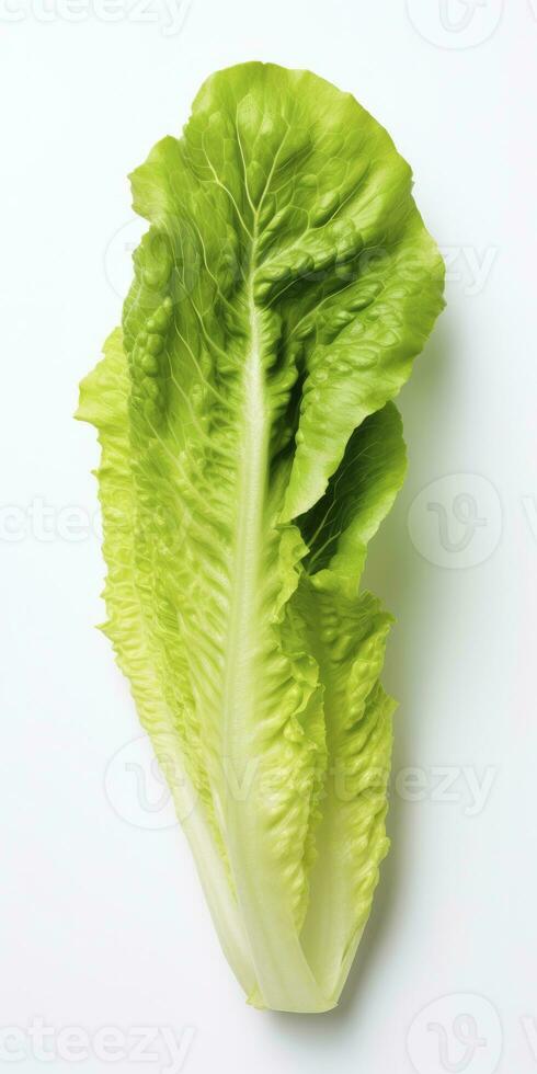 AI generated Lettuce isolated on white background. AI Generated photo