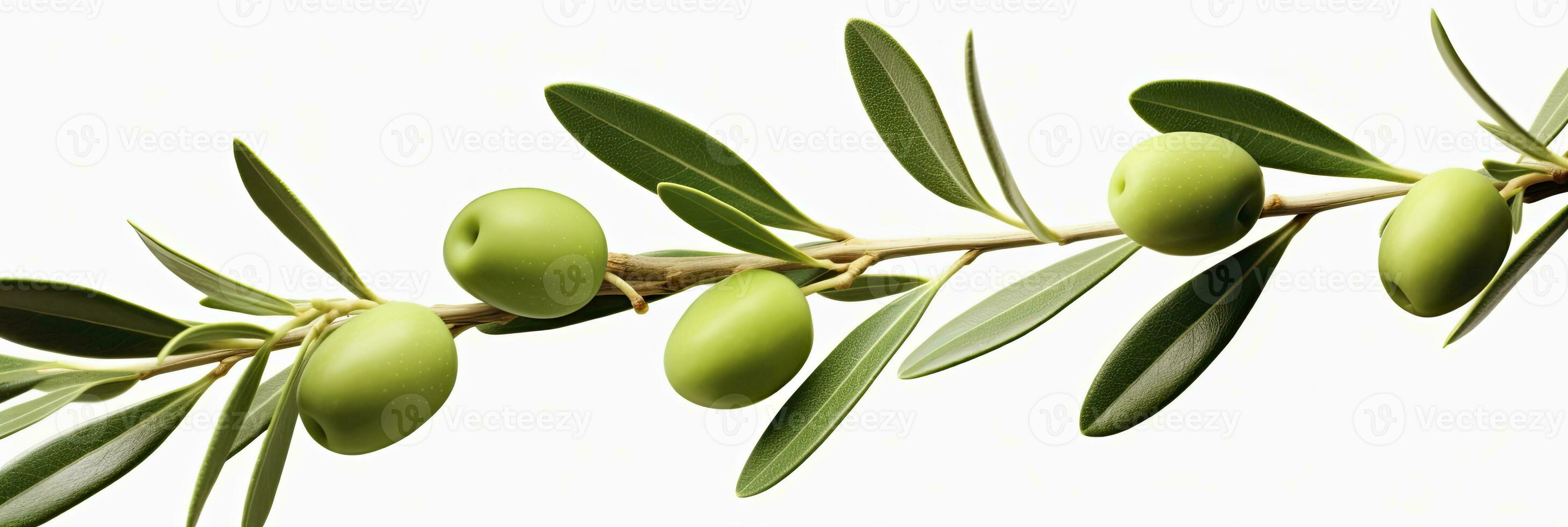 AI generated Olive tree branch, green olives and leaves on white background. AI Generated. photo