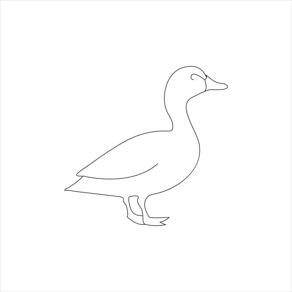 A duck Continuous single line drawing vector illustration. Continuous outline of Animal bird icon.