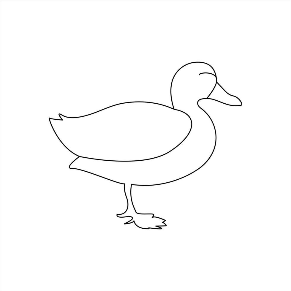 A duck Continuous single line drawing vector illustration. Continuous outline of Animal bird icon.