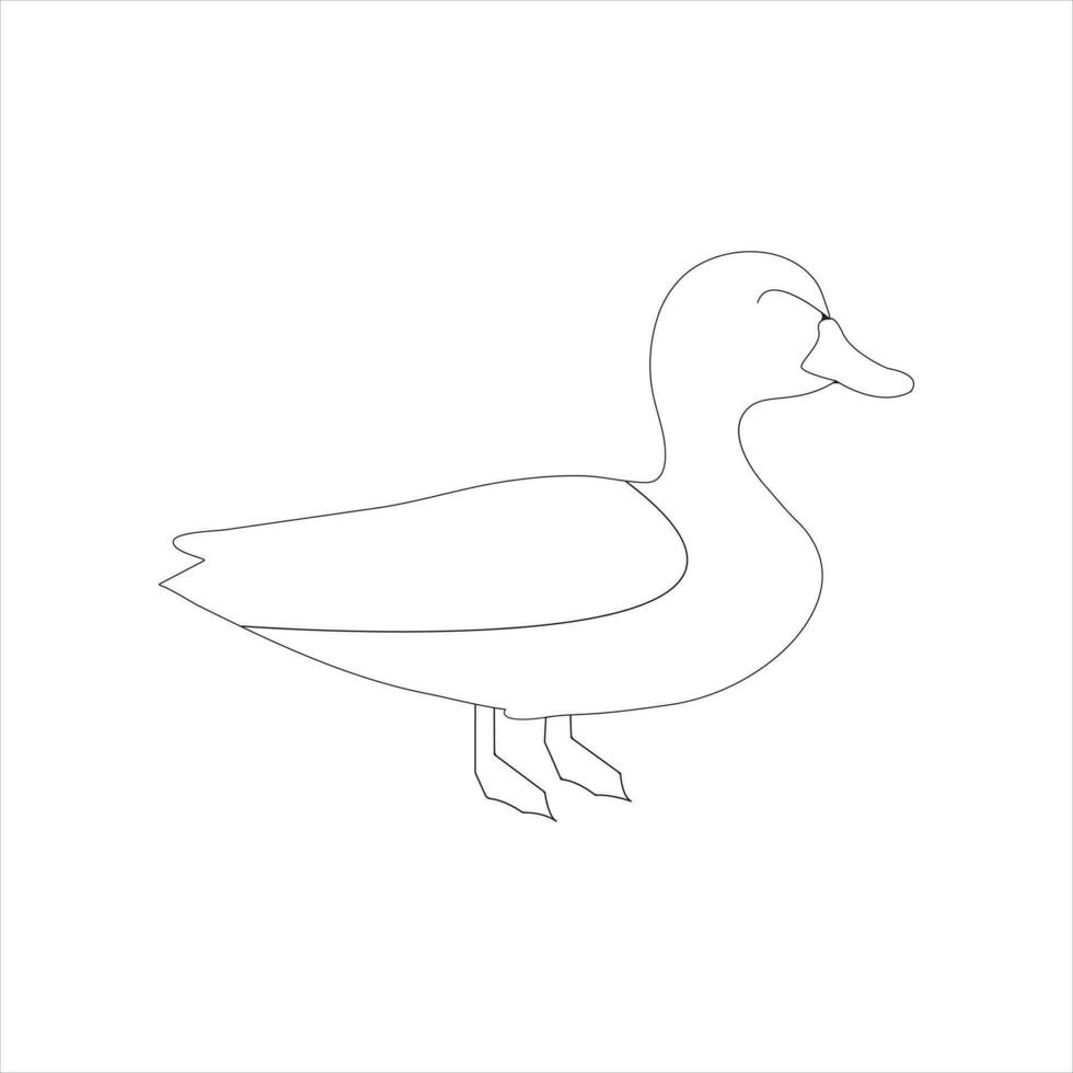 A duck Continuous single line drawing vector illustration. Continuous outline of Animal bird icon.