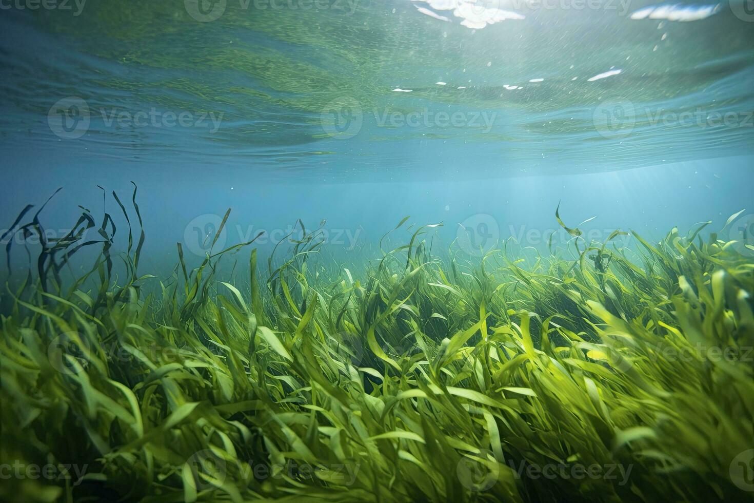 AI generated Underwater view of a group of seabed with green seagrass. AI Generated photo