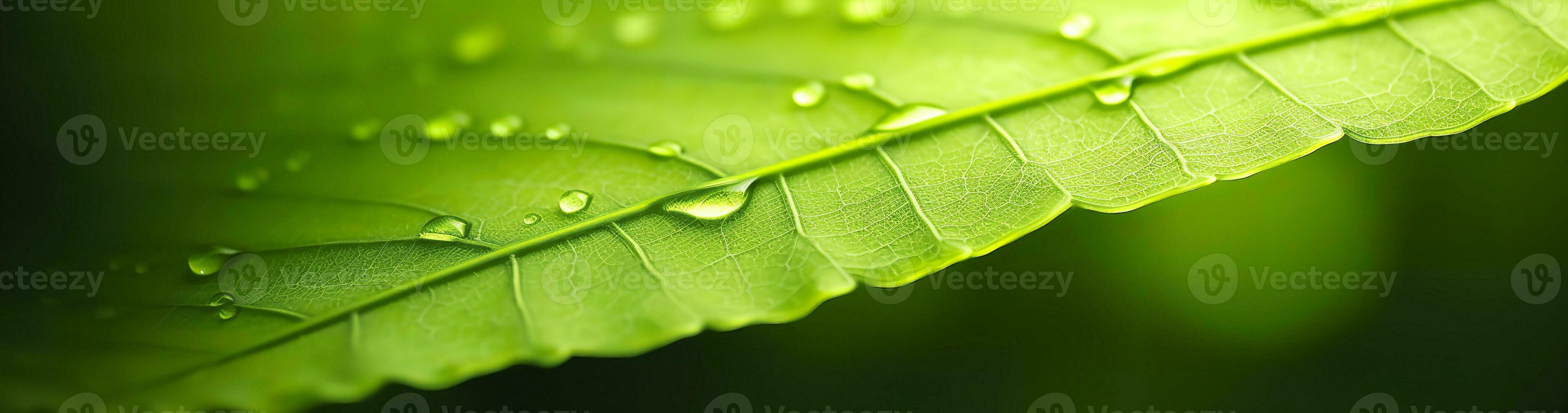 AI generated Green leaf nature background. AI Generated photo