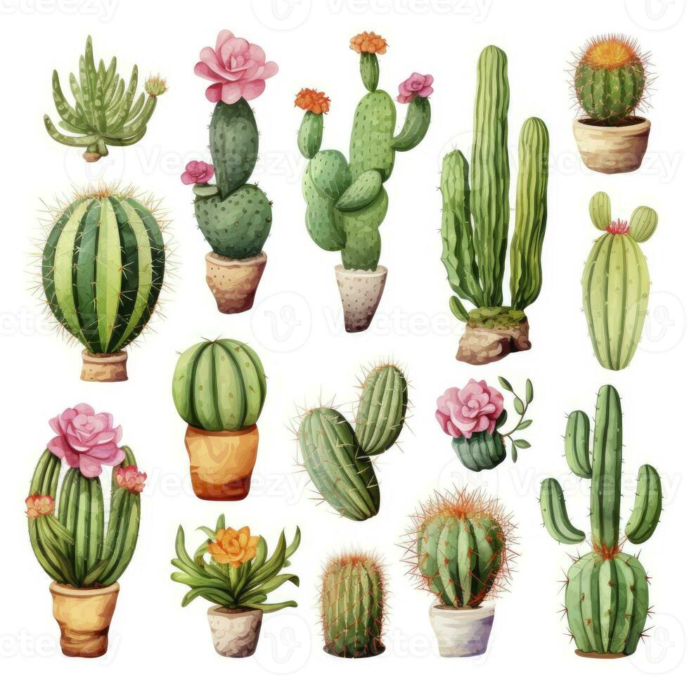 ai generado el cactus conjunto en blanco antecedentes. clipart ilustraciones. ai generado foto