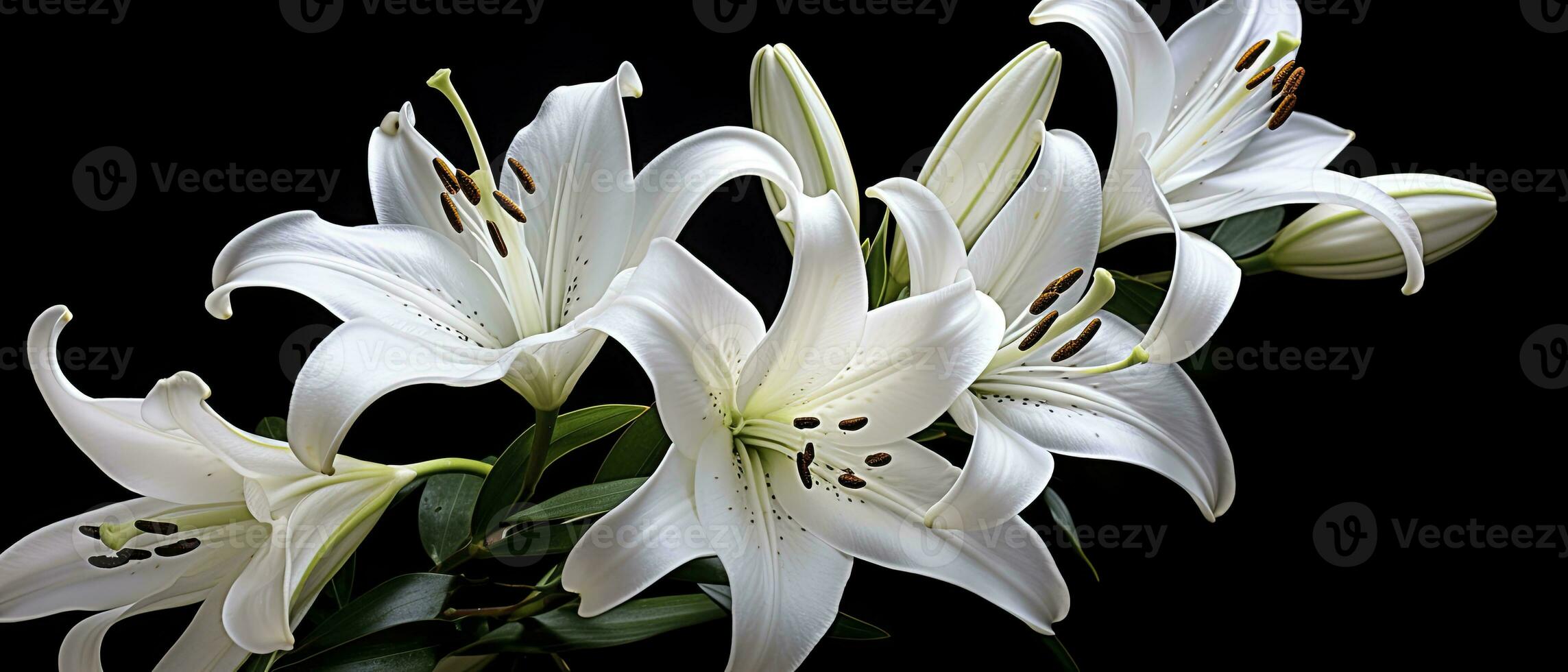 AI generated White lily flowers on black background. AI Generated photo