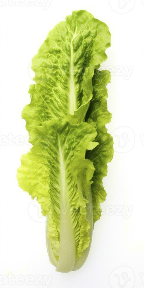 AI generated Lettuce isolated on white background. AI Generated photo