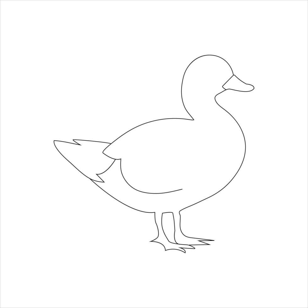 A duck Continuous single line drawing vector illustration. Continuous outline of Animal bird icon.