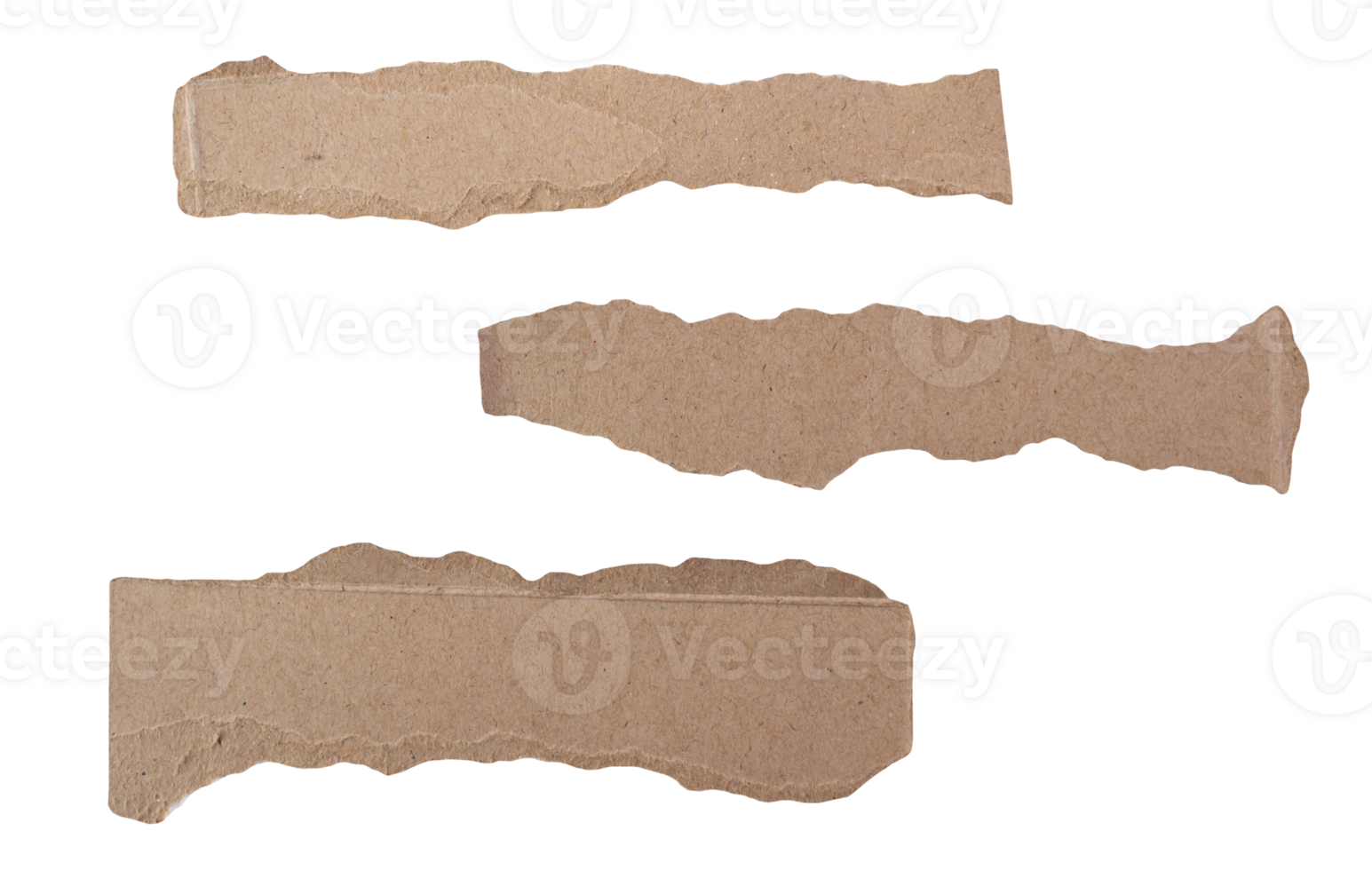 Ripped paper on transparent background. Torn paper. png