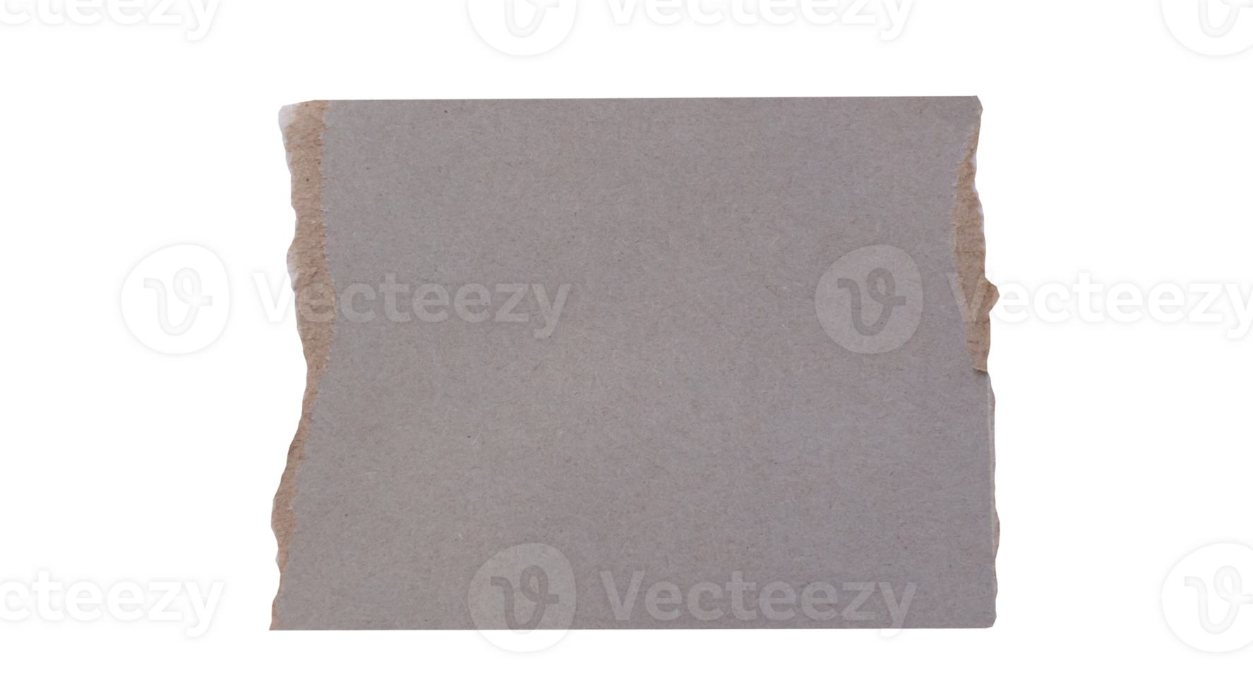 Torn paper piece png photo
