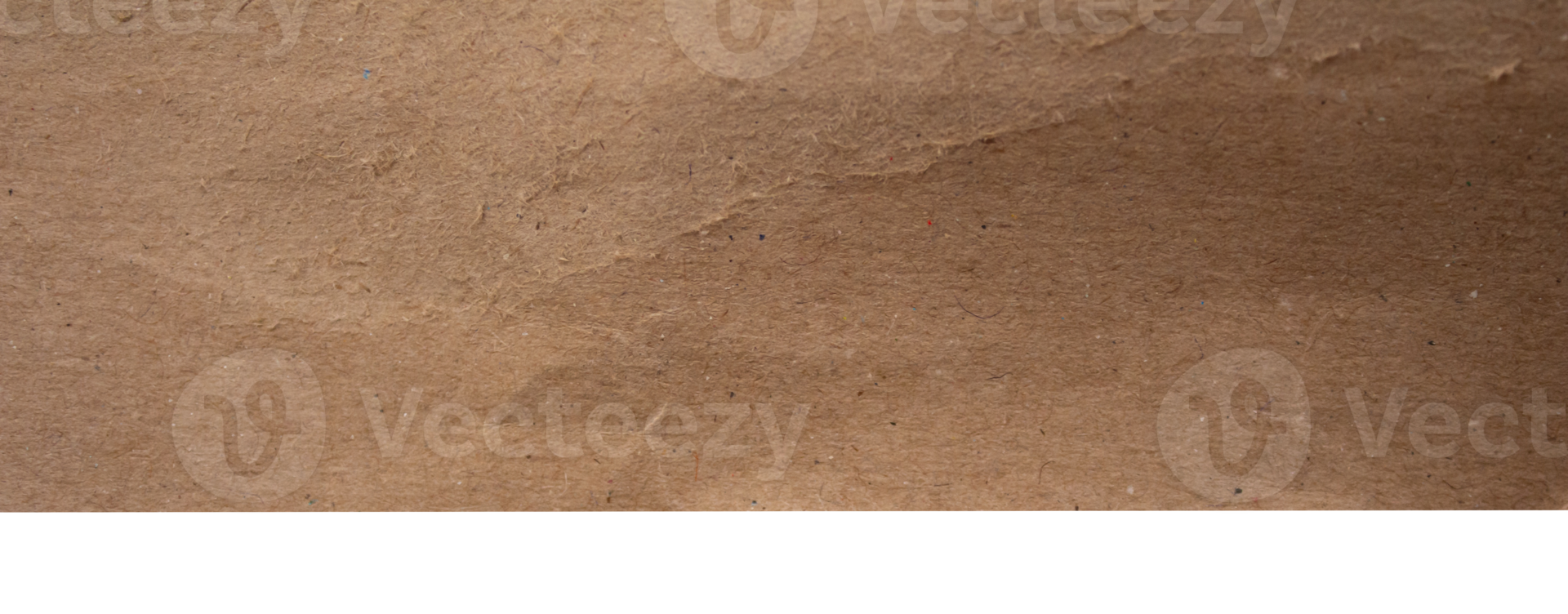 Torn cardboard piece on transparent background, png paper.