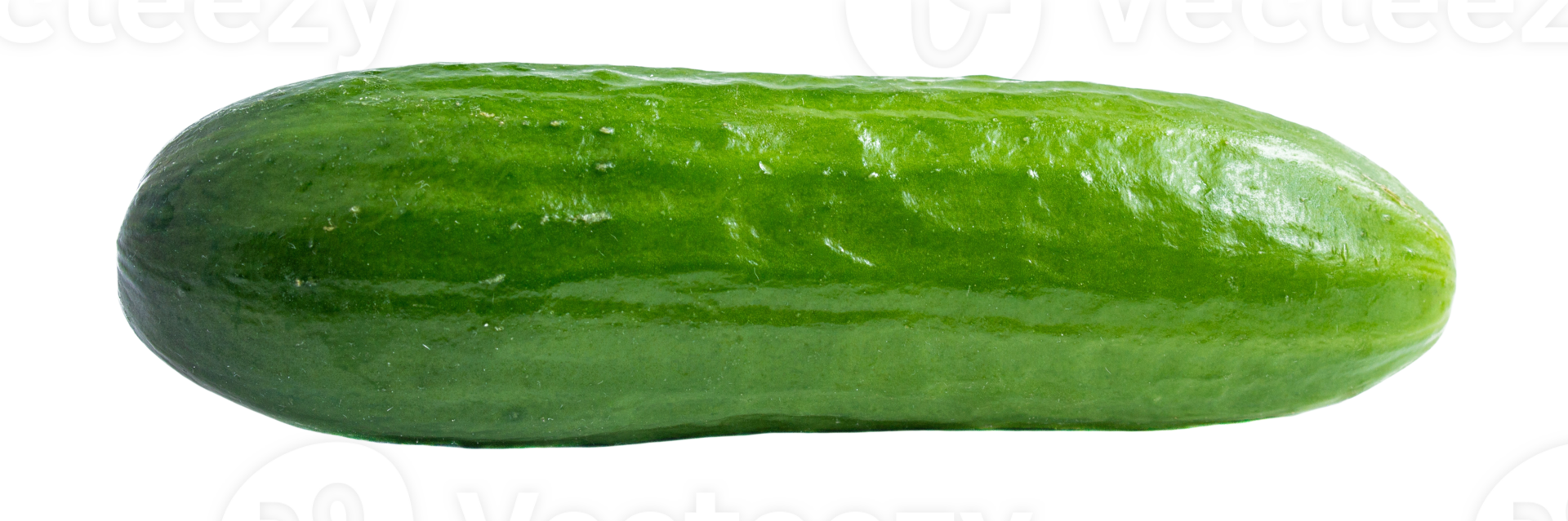 Cucumber on a transparent background png