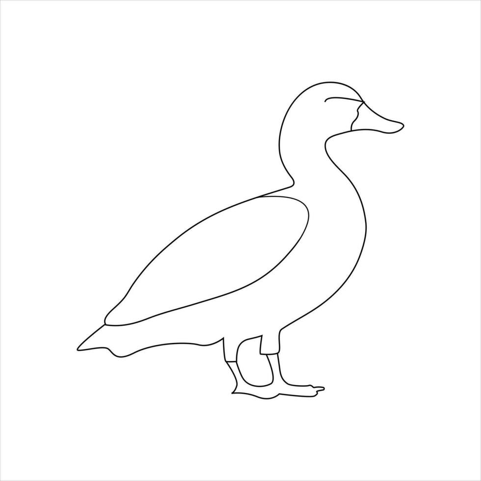 A duck Continuous single line drawing vector illustration. Continuous outline of Animal bird icon.