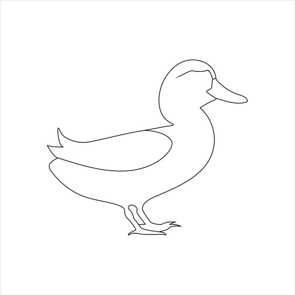 A duck Continuous single line drawing vector illustration. Continuous outline of Animal bird icon.