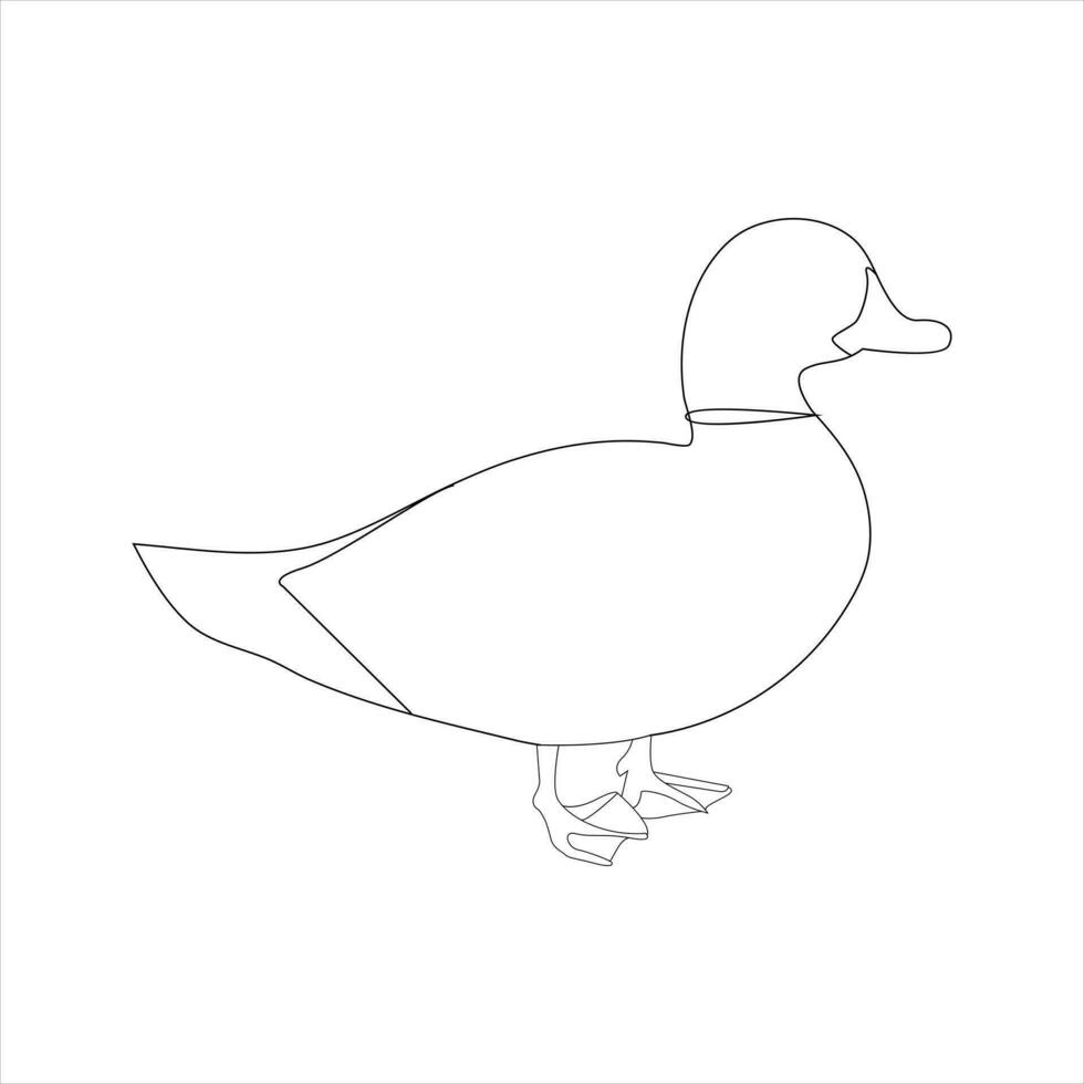 A duck Continuous single line drawing vector illustration. Continuous outline of Animal bird icon.