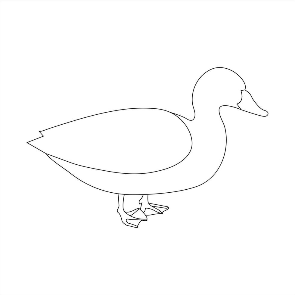 A duck Continuous single line drawing vector illustration. Continuous outline of Animal bird icon.